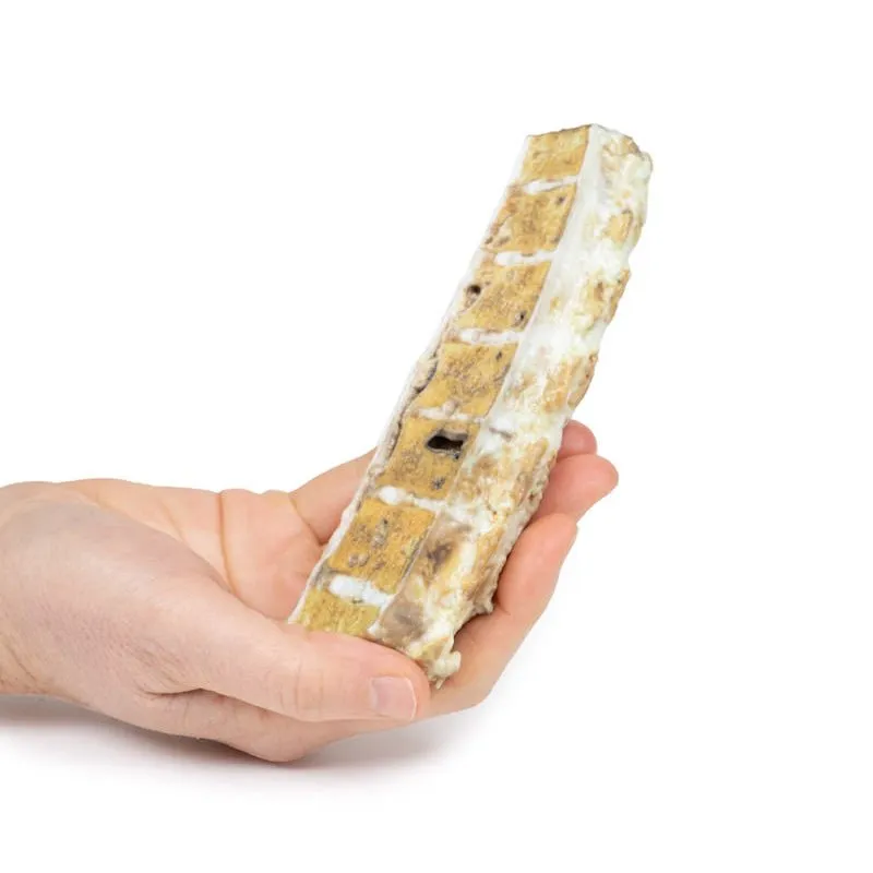 3D Printed Tuberculosis