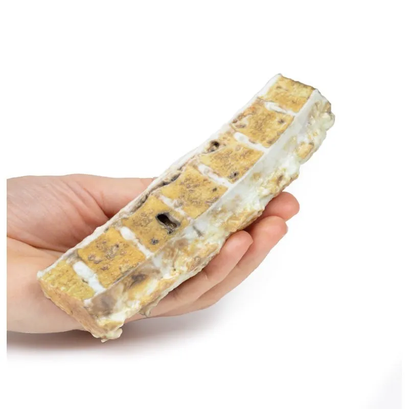 3D Printed Tuberculosis