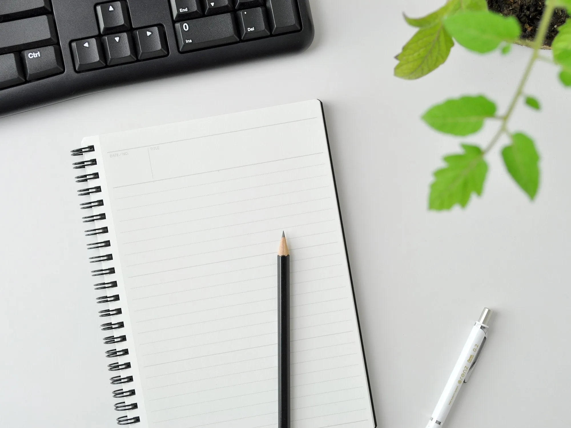 Maruman Mnemosyne Notebook - A4 Dotted